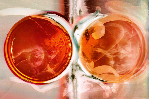 Project: Hermès Beauty